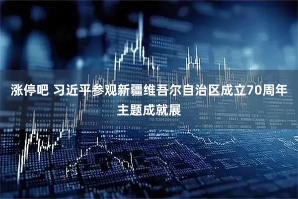 涨停吧 习近平参观新疆维吾尔自治区成立70周年主题成就展