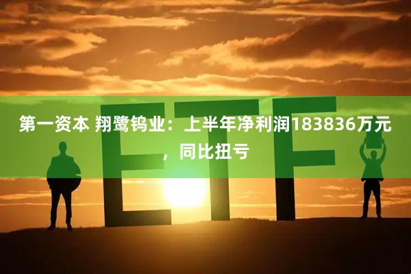 第一资本 翔鹭钨业:上半年净利润183836万元,同比扭亏